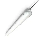 Philips Réglette LED Étanche CoreLine WT120C Gen2 15W 1900lm - 840 Blanc Froid | 60cm