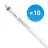Voordeelpak 10x Philips LED Buis T5 MASTER (HF) High Output 26W 3700lm - 830 Warm Wit | 145cm - Dimbaar - Vervangt 49W