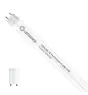 Ledvance LED Buis T8 Performance (EM/Mains) High Output 6.8W 1100lm - 840 Koel Wit | 60cm - Vervangt 18W