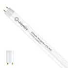 Ledvance LED Buis T8 Superior (EM/Mains) High Output 17.7W 3100lm - 865 Daglicht | 150cm - Vervangt 58W