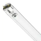 Philips T8 UV - C 17W - Ultraviolet | 60cm